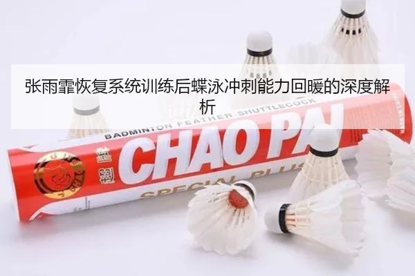 张雨霏恢复系统训练后蝶泳冲刺能力回暖的深度解析 - QSTY